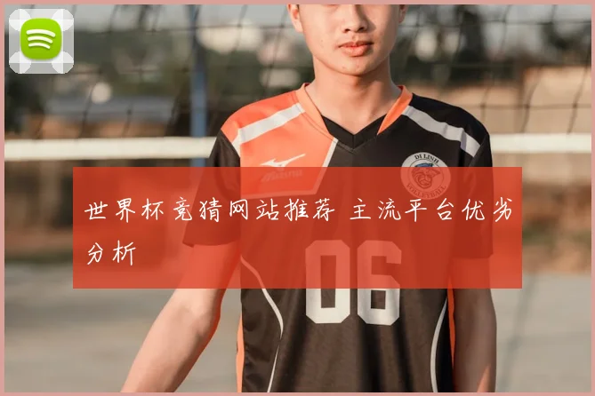 世界杯竞猜网站推荐 主流平台优劣分析
