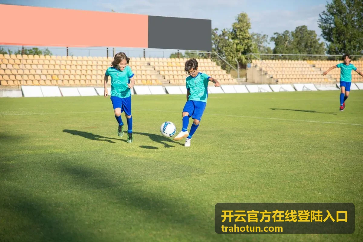 开云官方在线登陆入口流程示意画面