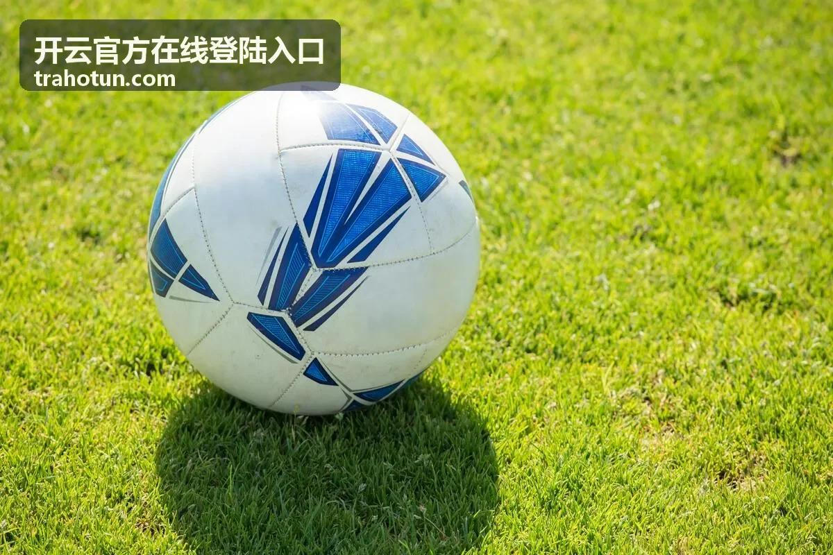 开云官方在线登陆入口账号与密码填写核对示意