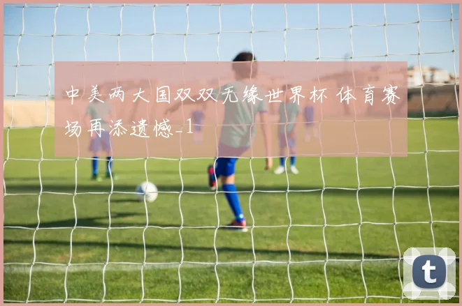 中美两大国双双无缘世界杯 体育赛场再添遗憾_1