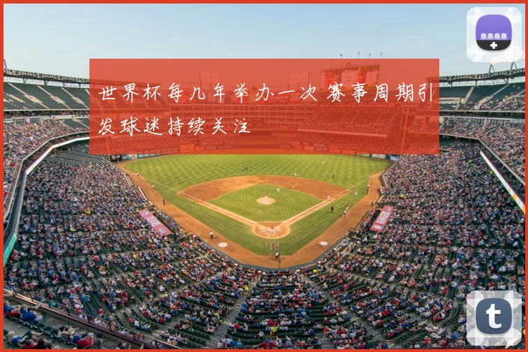 世界杯每几年举办一次 赛事周期引发球迷持续关注