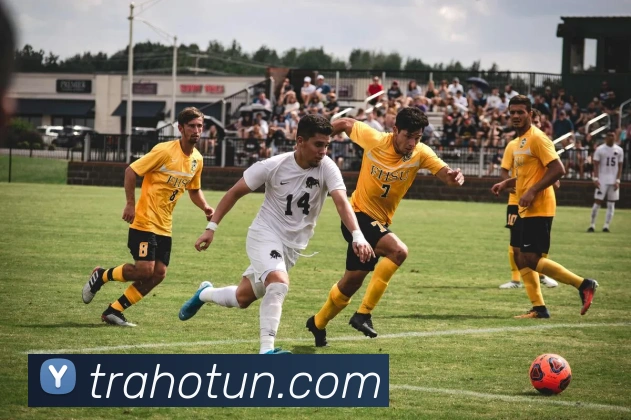 易倍emc中文官网平台生态图