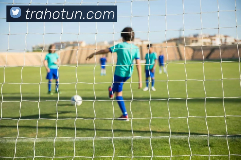 易倍emc中文官网APP 封面图